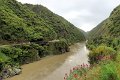 D (89) Manuwatu Gorge